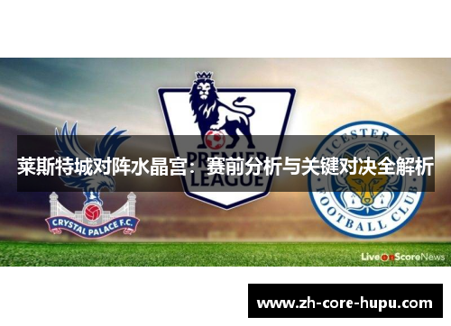 莱斯特城对阵水晶宫:赛前分析与关键对决全解析 莱斯特城对阵水晶宫:赛前分析与关键对决全解析
