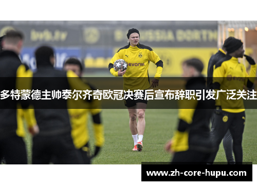 多特蒙德主帅泰尔齐奇欧冠决赛后宣布辞职引发广泛关注