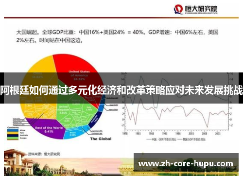 阿根廷如何通过多元化经济和改革策略应对未来发展挑战 阿根廷如何通过多元化经济和改革策略应对未来发展挑战
