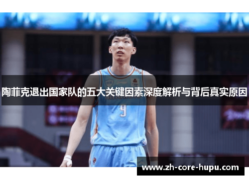 陶菲克退出国家队的五大关键因素深度解析与背后真实原因