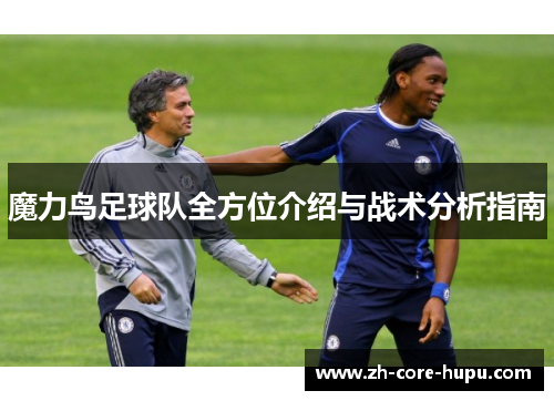 魔力鸟足球队全方位介绍与战术分析指南