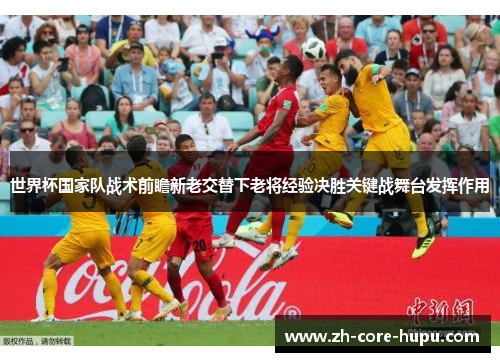 世界杯国家队战术前瞻新老交替下老将经验决胜关键战舞台发挥作用
